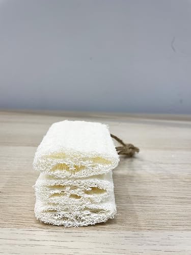 Image of 4 inch Plant Sponge 100% Natural Loofah Dish Sponges, Natural Dishwashing Sponges for Kitchen, Kitchen Scrubber Loofahs - 24 Pack