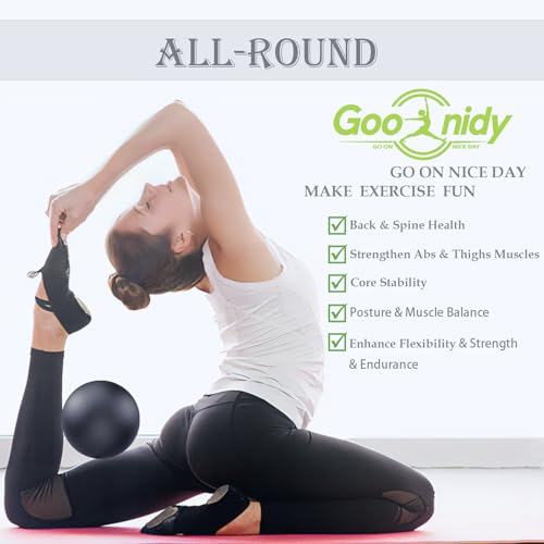 Image of PL-0003 Soft Exercise Ball, Anti-Burst Yoga Ball Chair Supports 2200lbs PL-0003