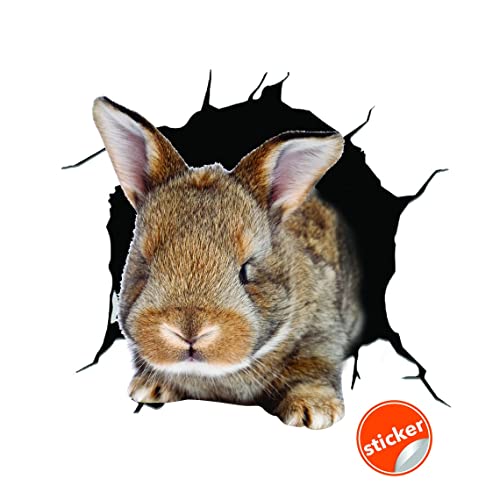 3D Rabbit Wall Decal - Easter Bunny Kid Design Sticker - Adhesive Decoration Decals - Cute Kitchen Vinyl Toilet Nursery Decor Mural (118'' X 94'') #TOP1