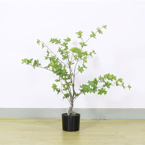 [LJKI] tFCNO[ a m hE_ccW ϗA   Vv  ItBX z[fR[V    Vzj ̓ ̓ v[g lHA CeA A90cm Ύ sv