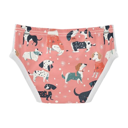 Wusikd Dachshunds Boys' Underwear Cotton Boys Briefs Soft Toddler Underwear 2T2