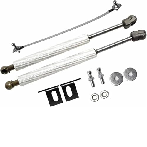 Vérins à gaz en carbone argenté pour capot Ford Focus 1998-2007 - Support de levage haut de gamme