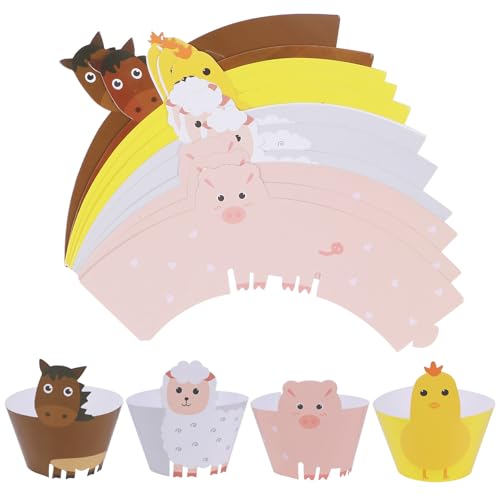 EXAOMBLE 24 ̃fUCP[Lbp[ R[eBO JbvP[Lp  a  nEB NX}X