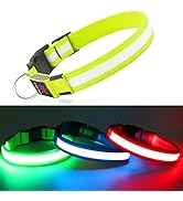 Light Up Dog Collars DQGHQME Led Dog Collar USB Rechargeable Safety Lighted Dog Collar for Small ...