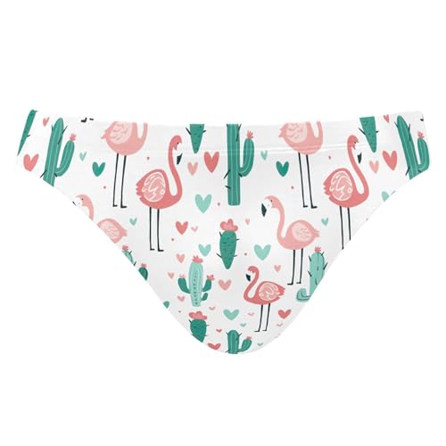 Men's Swim Briefs Flamingo Cactus Swimsuit Beach Swimwear Bikini M B0403433