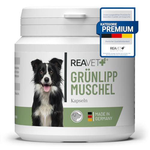 ReaVET Grünlippmuschel Kapseln für Hunde hochdosiert 100Stk - Gelenktabletten Hund mit Grünlippmuschelpulver in Vollfettqualität 10,2%, Grünlippmuschelextrakt für Gelenke
