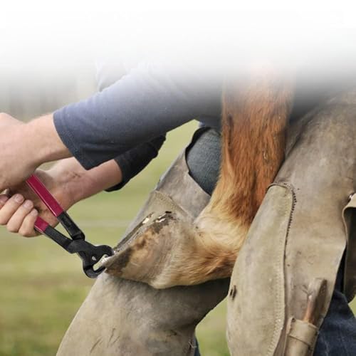 Pinza para pezuñas de herrador de caballos, lima para herrar, mango de escofina, cortador de pezuñas, herramienta para el cuidado de caballos, accesorio para carreras de caballos