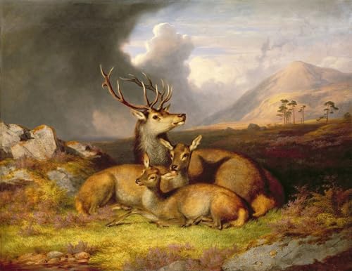 Tableau toile SERENDIPITP Highland Felicity portrait d'art mural 60x90cm
