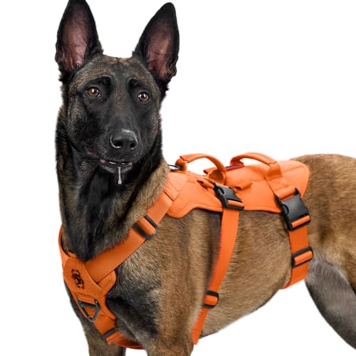 OneTigris Pettorina tattica T-Bone con 2 maniglie anti-scheggiatura regolabili per cane, caccia, escursionismo, allenamento, passeggiate, attività all'aria aperta, arancione, taglia XL