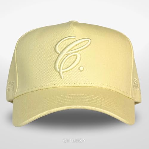 Image of Vintage Fashion Trucker Hat | Men & Women | Trendy Cute Retro Red Caps for Country & Western | Camo Fur Cotton | Snapback