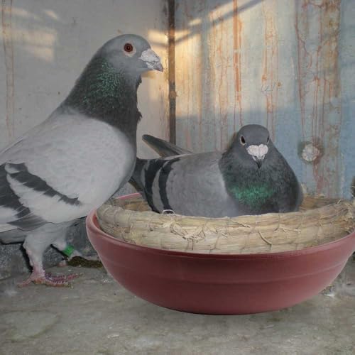 Image of DQITJ 4 Pack Bird Nest Bowl Plastic Racing Pigeon Breeding Hatching Nest Box Egg Basin Pigeon Nest Bowl for Doves Pigeon Quail Bird (Dia: 8.6 inch)
