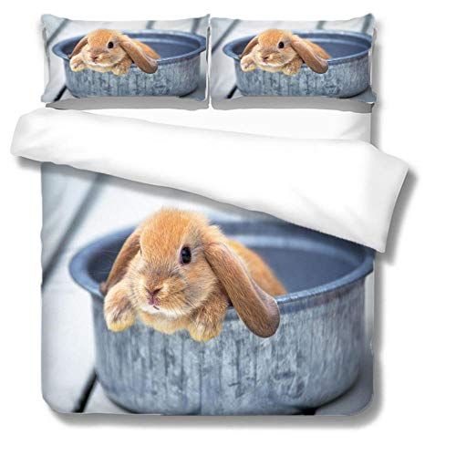 ZQMHCY Parure de Lit 220x240 Adulte Lapin Bleu Marron Housse Couette Microfibre Parures Hypoallergénique Housses Couettes,1 avec Fermeture Eclaire et 2 Taie Oreiller 50x75cm