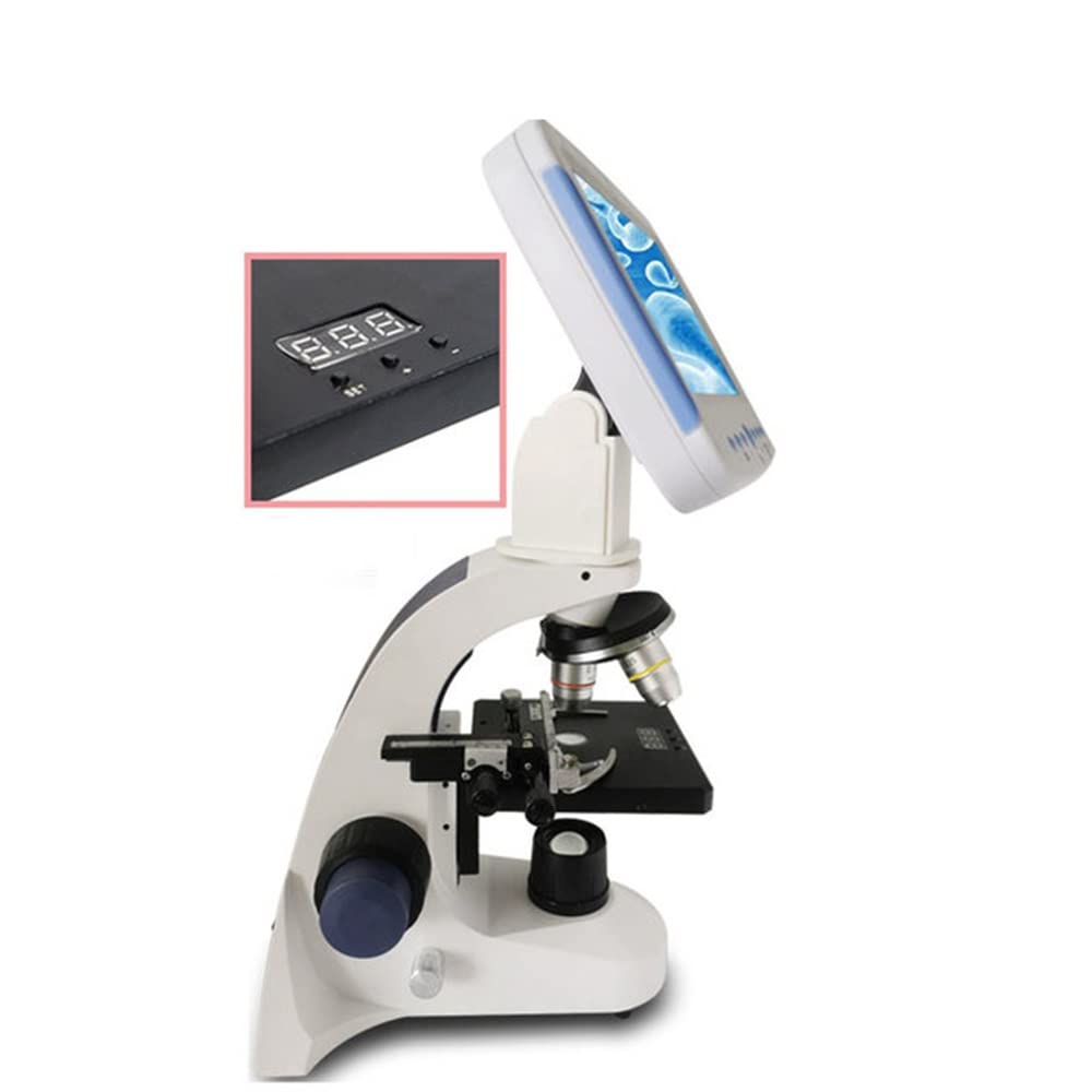 Kit di accessori per microscopio Professionale 2000X Composto digitale biologico, Microscopio LED Laboratorio scolastico con linea di misurazione dello schermo Vetrini per microscopio