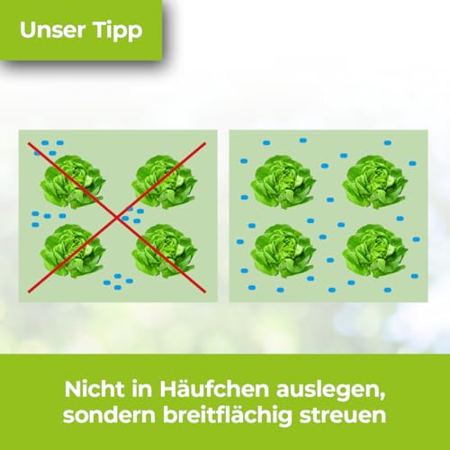 PROTECT GARDEN Protect MaXX Schneckenkorn FE, regenfest, zuverlässige Schneckenbekämpfung an Gemüse, Obst und Zierpflanzen, 1,2kg Faltschachtel für bis zu 315m²