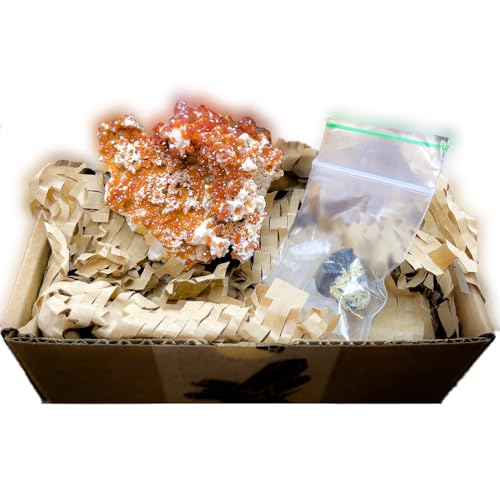 Crystal of the Month - Enchanted Crystal