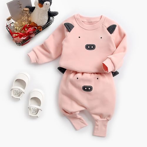 Toddler Kid Baby Boy Clothes Long Sleeve Dinosaur Pullover Sweatshirt Top Pants Sweatsuit Fall Winter Outfits2