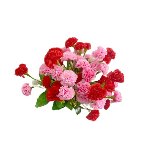 Rikyo Künstliche Seidenblumen, Nelken, 35,6 cm, Blumenstrauß und grünes Blatt für Zuhause, Party, Braut, Hochzeit, Festival, Dekoration, mit 12 Stück pro Strauß (Rosa + Rot)