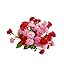 Pink+red
