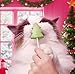 Bonkers Purrpops Christmas Themed Limited Edition Holiday Chicken Flavor Freeze-Dried Licks Cat Treats Catnip & Turkey Flavor - 5 Pack with 1 Cat Pom Pom Balls Toy