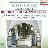 Partita sopra l'aria Jesu du bist allzu schoene