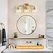 Bathroom Light Fixtures Gold Vanity Light 3 Light Wall Sconces Lighting Brushed Brass Lights with Clear Globe Glass Shades Bath Wall Lamp for Mirror Kitchen Living Room Bedroom Hallway