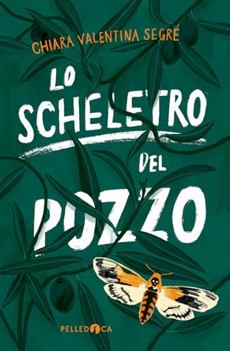  Lo scheletro del pozzo