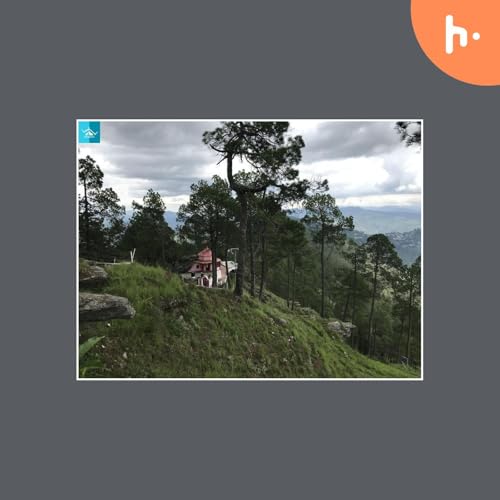 Adventure Activities in Kasar Devi: A Thrilling Escape into Nature Titelbild