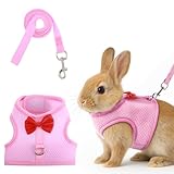 Kaninchen Leine,Kaninchen Geschirr mit Einer Schleife,Weiche KaninchenLeine,Hasen Zubehör,für Zwergkaninchen,Katzen,Kleine Hunde und Andere Kleintiere