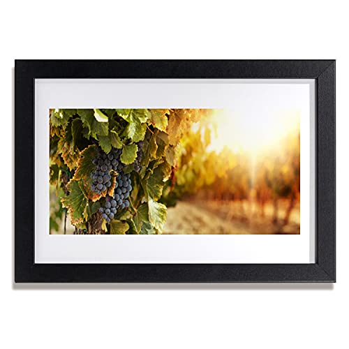 Affiche encadrée 30x20 haut de gamme design raisins image murale avec cadre noir en MDF
