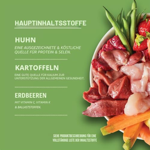 Lily's Kitchen Mit natürlichen Zutaten hergestellt Für ausgewachsene Hunde Nassfutter-Dose Eine englische Gartenparty (6 x 400g) – Ansicht 2
