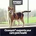 Nutramax Cosequin for Cats Joint Health Supplement, Contains Glucosamine for Cats, Plus Chondroitin and Boswellia, Supports Healthy Joints, For All Breeds and Sizes, Sprinkle Capsules, 60 Count