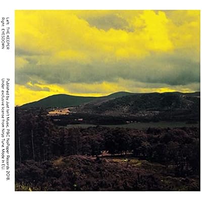 Bonobo: Black Sands Remixed