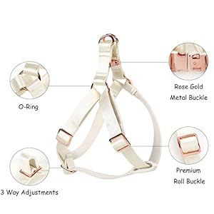 Lionet Paws Dog Harness, No-Pull Adjustable Silk Nylon Webbing Pet Harness with Metal Buckle for Small Dogs Easy Walking, White, XS