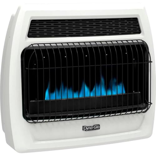 Dyna-Glo BFSS30LPT-2P 30,000 BTU Liquid Propane Blue Flame Thermostatic Vent Free Wall Heater, White