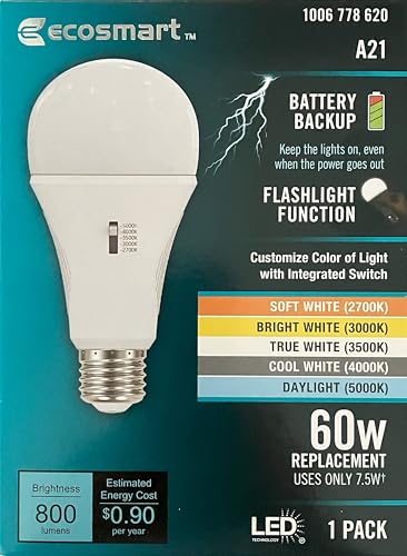 EcoSmart 1006 778 620