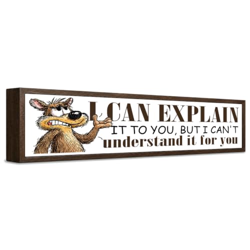 Funny Office Wood Sign-I CAN EXPLAIN IT TO YOU BUT