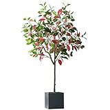 □ 130cm, 1,9 kg ensemble de poids, la taille pot 1.15cm, le diamètre du pot de 12,5 cm (non inclus pot de fleur de ciment, comprenant un pot de fleur en plastique noir).