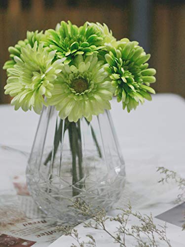 Topia Artificial African Daisies Flowers African Daisy Silk Flowers Artificial Gerbera Daisies Pack Of 10 (Green) #TOP7