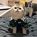 Selena Cute Cat Costumes Cartoon Japanese Anime Cosplay Dog Clothes Kawaii Cute Puppy Kitten Pet Apparel (Small,Green)