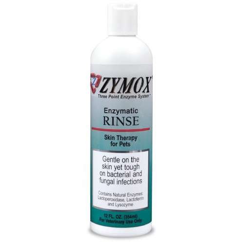 Buy Zymox Medicated Rinse 12 oz Online at Low Prices in India Amazon.in