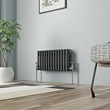 NRG Radiateurs à colonne traditionnels en fonte 300 x 605 mm