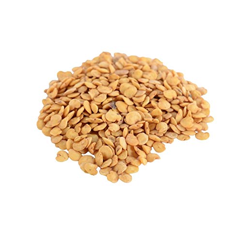 VIBEX® HAU-890-Quick Grow Organic F1 Hybrid Brinjal Long Seed-picture-14