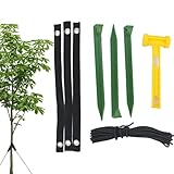 generico kit di tutori alberi,picchetto resistente,kit di per alberi inclinati - per protezione contro cattivo e per trampolino capannone serra tenda da sole
