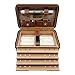 SEGAPHY Cigar Humidor with 2-Way Humidity Control,Cigar Leather Travel Case with Lighter,Cigar Cutter and Draw Enhancer Tool All-in-One,Portable Humidor with Cedar Lining Hold 4 Cigars (Saddle Brown)