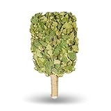 NeSowok® Birkenbesen Premium für Sauna & Banja – 100 % Junge Birkenzweige – Naturduft für Aufguss – weich & formstabil – ca. 250 g (1)