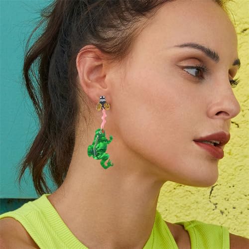 Creative Acrylic Frog Dangle Earrings for Women Lightweight Cute Summer Green Animal Eatting Insect Statement Drop Dangling Earrings Exaggerated Fun Halloween Theme Party Jewelry (Moth)2