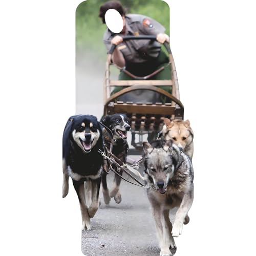 SS11090 Dog Sled Rider Race Snow Dogs Desert Dogs Sleigh Stand in Cardboard Cutout Standee Standup