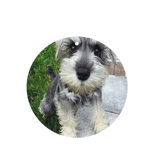 吊り下げ式車用芳香剤カード 2枚パック - 長持ちする吊り下げ式アロマセラピーカード (ラベンダーの香り) 車、自宅の寝室、ワードローブ、靴箱などに最適。ユニセックス (シュナウザー ミニチュア犬)