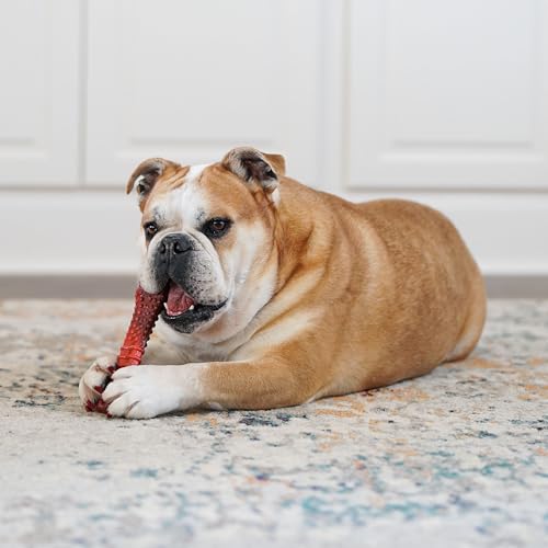 Strukturierter Nylabone Dura Chew Rindfleisch-Jerky-Power-Chew – Kauknochen für extrem stark kauende Hunde - XL-Größe – für Hunde bis 23 kg +