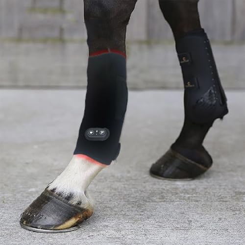 lanoune Red Light Therapy Light for Horse Injuries & Chronic Conditions,20Mins Auto Shut-Off Timer 3 Steady Lighting+3 Pulse Mode,Wearable Pet Red Light Therapy Belt